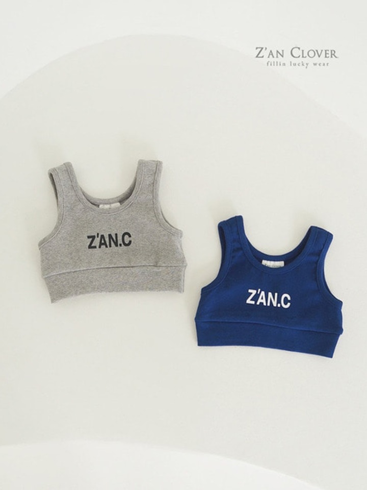 Zan Crop Top