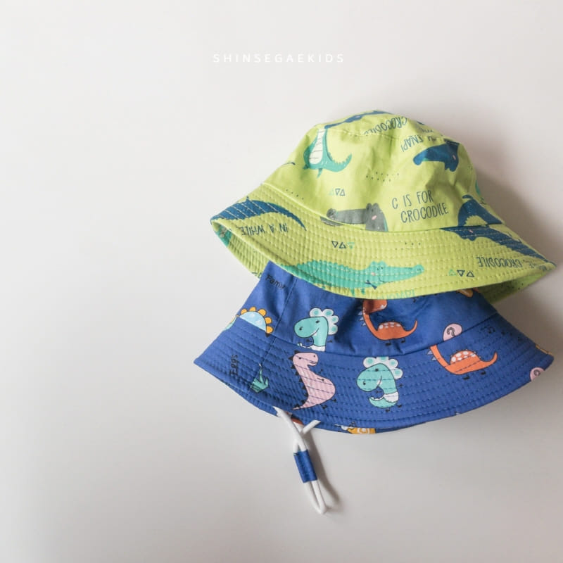 Shinseage Kids - Korean Children Fashion - #discoveringself - Dino Cap - 8