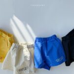 Lapiz Multi Pants