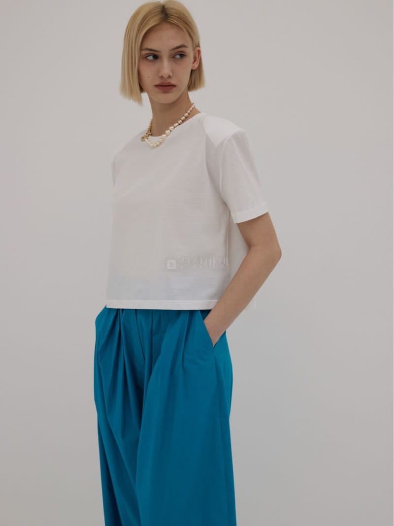 Neroli36 - Korean Women Fashion - #vintageinspired - Silket Crop Tee