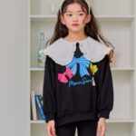 Frill Collar Ribbon Sweatshirt