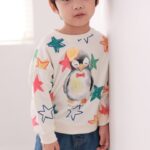 Star Penguin Sweatshirt