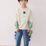 Sleeve Color Dino Sweatshirt