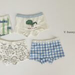 N113 Jurrasic Underwear Set