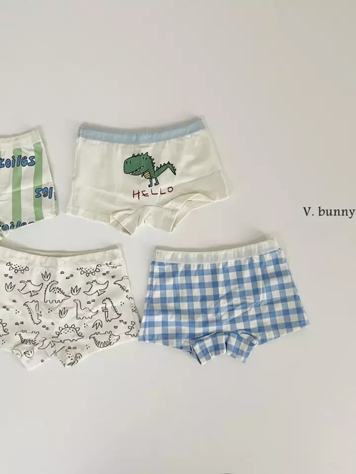 N113 Jurrasic Underwear Set