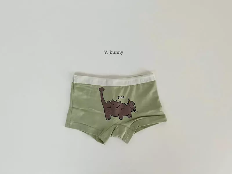 V Bunny - Korean Children Fashion - #childrensboutique - N107 Dino Underwear Set - 7