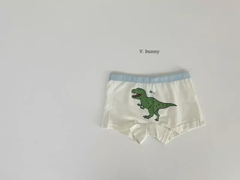 V Bunny - Korean Children Fashion - #stylishchildhood - N107 Dino Underwear Set - 5