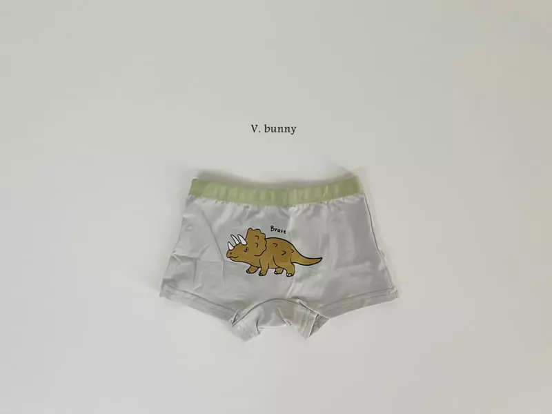 V Bunny - Korean Children Fashion - #todddlerfashion - N107 Dino Underwear Set - 3