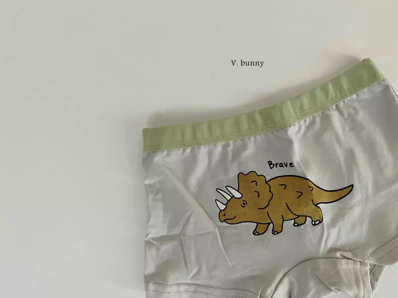 V Bunny - Korean Children Fashion - #todddlerfashion - N107 Dino Underwear Set - 4