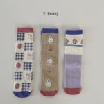 Cookie Socks Seteck Strawberry Socks Set