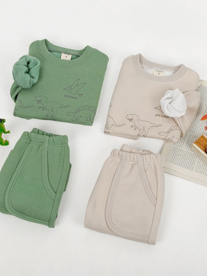 Fleece Dino Top Bottom Set