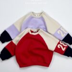 28 Color Sweatshirt