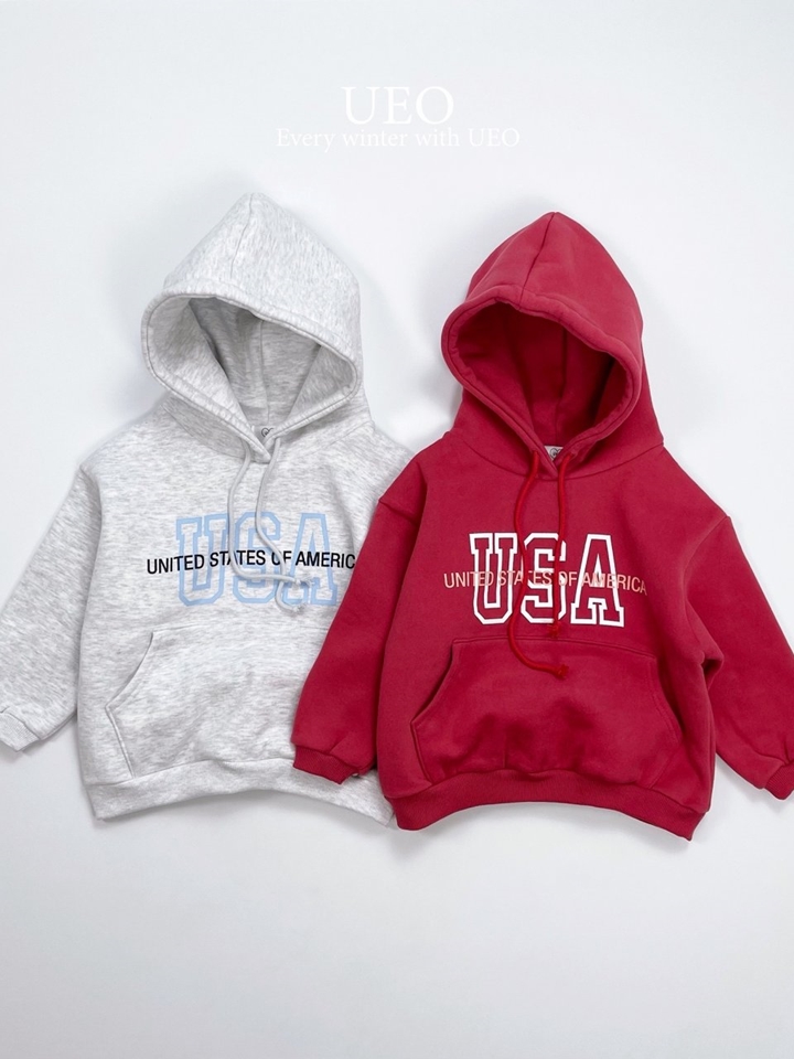 Usa Hoody