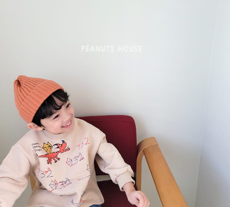 Peanuts - Korean Children Fashion - #littlefashionista - Drago Tee - 5