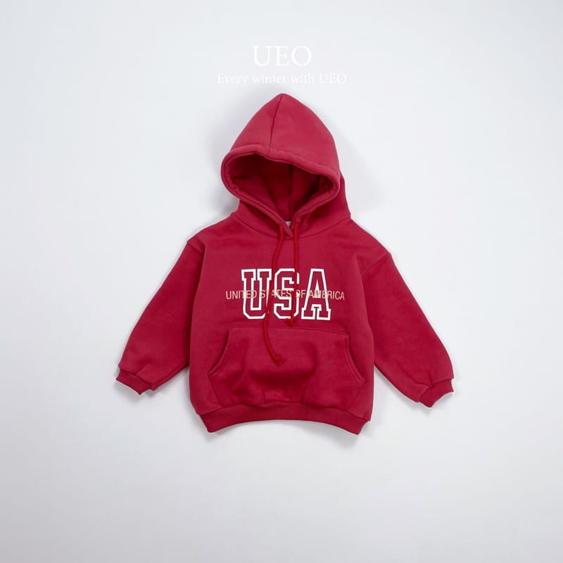 U Eo - Korean Children Fashion - #kidsstore - Usa Hoody - 2