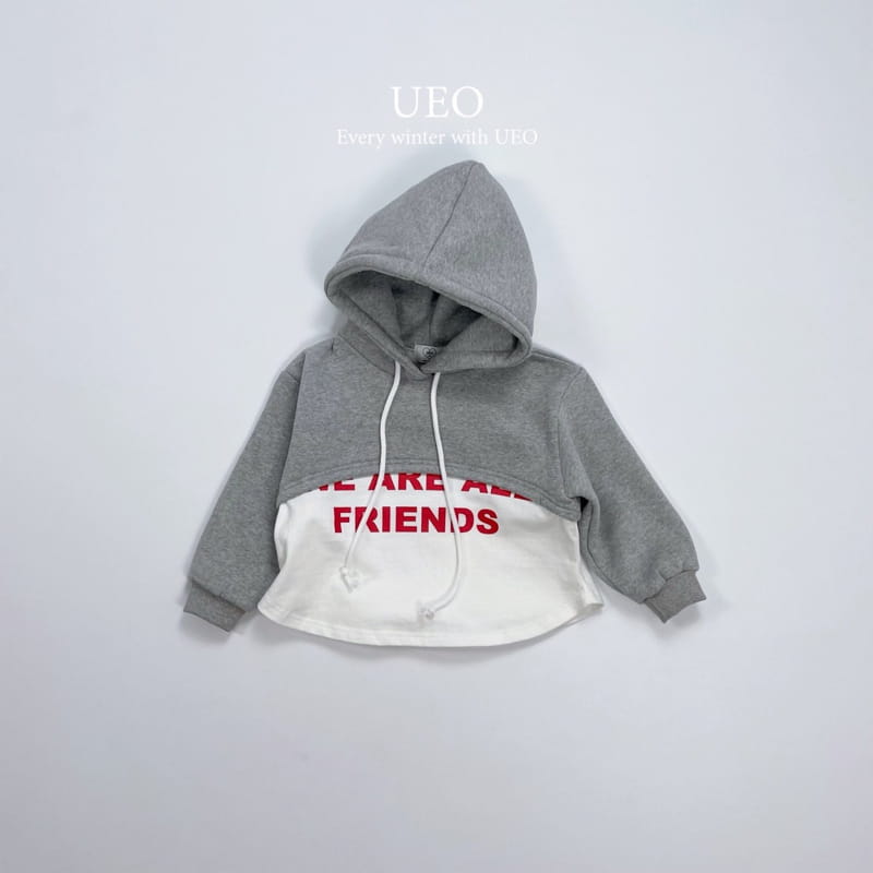 U Eo - Korean Children Fashion - #kidsstore - Layered Crop Hoody - 4