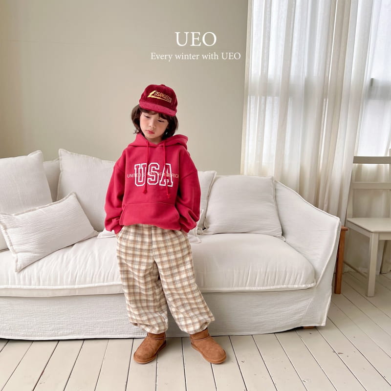 U Eo - Korean Children Fashion - #todddlerfashion - Usa Hoody - 9