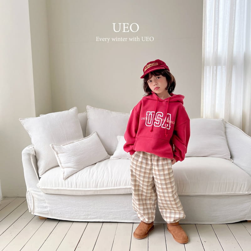 U Eo - Korean Children Fashion - #toddlerclothing - Usa Hoody - 10