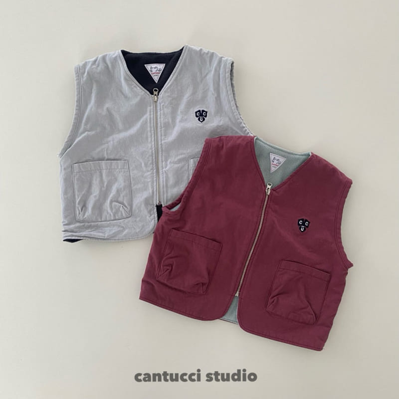 Cantucci Studio - Korean Children Fashion - #childofig - Dino Reversible Vest - 2