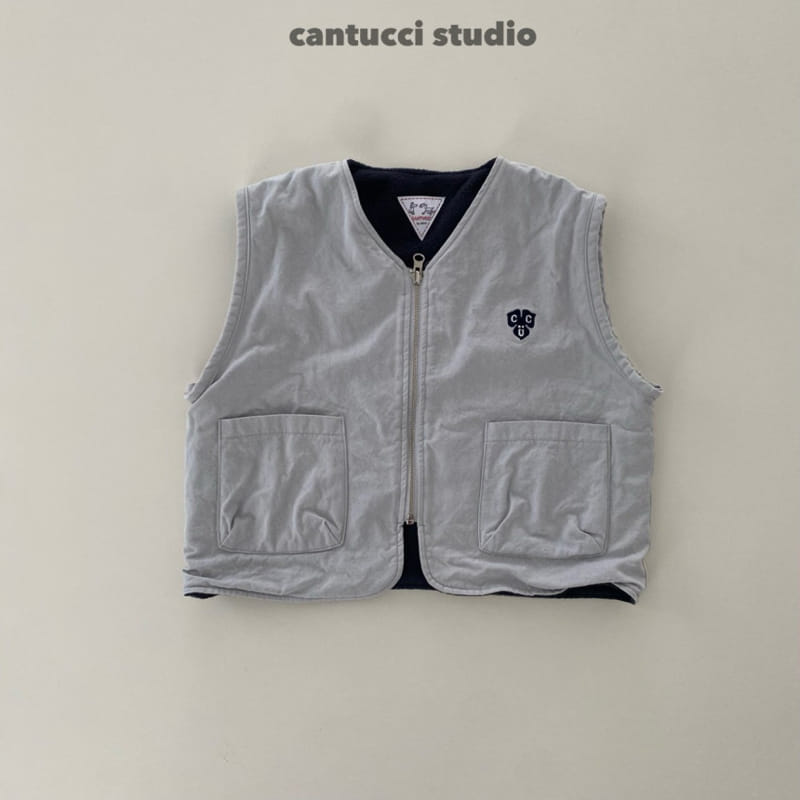 Cantucci Studio - Korean Children Fashion - #childofig - Dino Reversible Vest - 3