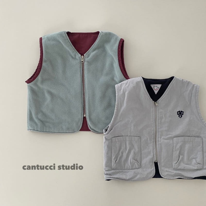 Cantucci Studio - Korean Children Fashion - #designkidswear - Dino Reversible Vest - 5