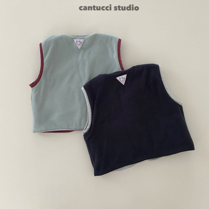 Cantucci Studio - Korean Children Fashion - #fashionkids - Dino Reversible Vest - 7