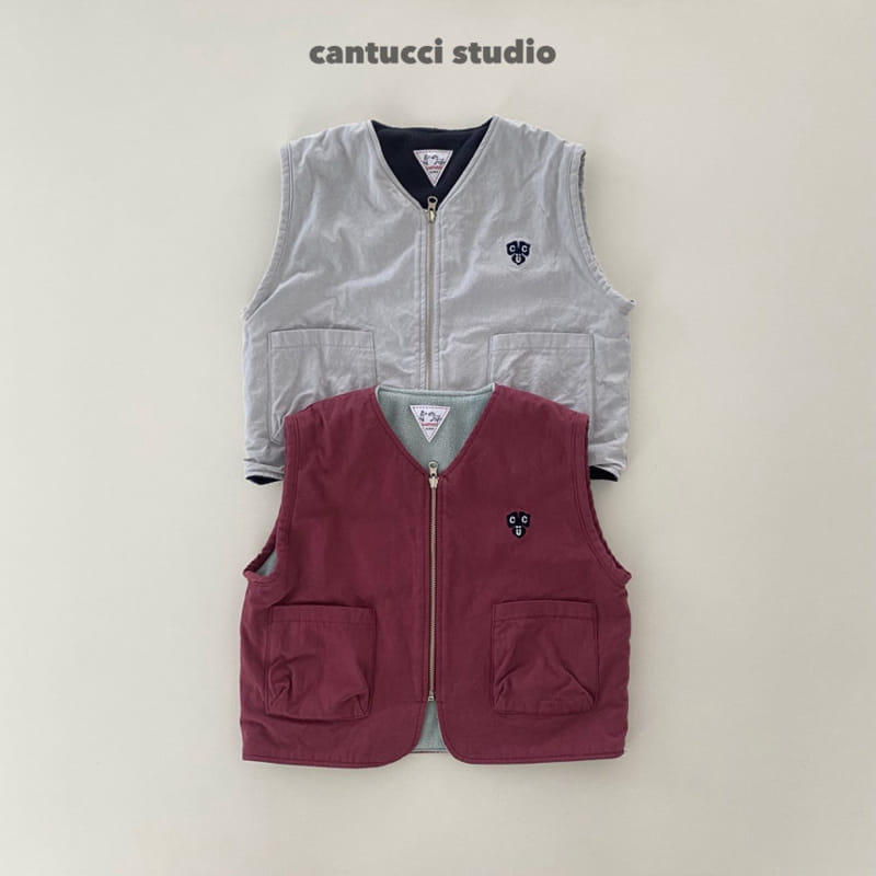 Cantucci Studio - Korean Children Fashion - #prettylittlegirls - Dino Reversible Vest