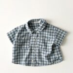 Check Short Sleeve Shirt