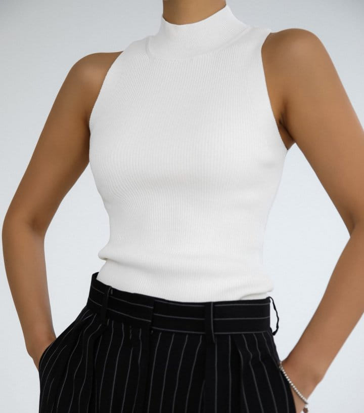 Paper Moon - Korean Women Fashion - #womensfashion - High Neck Ribbed Sleeveless Cropped Knit Top - 9