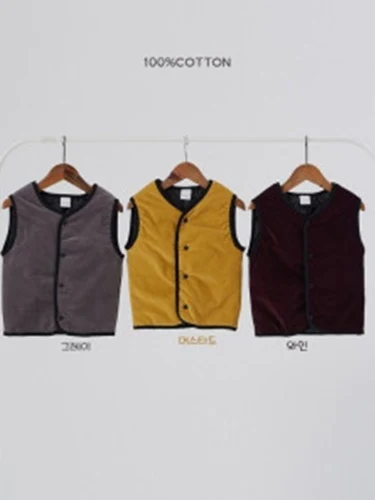 Reversible Vest