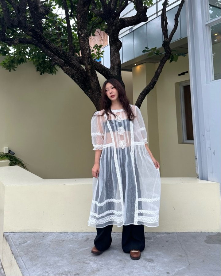 Dailyjud - Korean Women Fashion - #momslook - Anna Organza Dress - 4