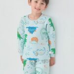 Picutre Dino Pajamas