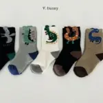 Five Dragon Socks Set