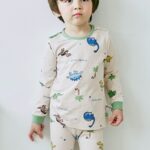 Dino Star Pajamas