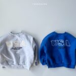 USA Embroidery Sweatshirts