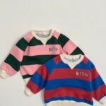 Big Stripe Sweatshirts