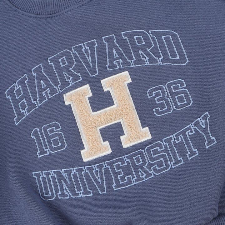 O Wen - Korean Children Fashion - #designkidswear - Harvard Brushed Sweatshirt - 10