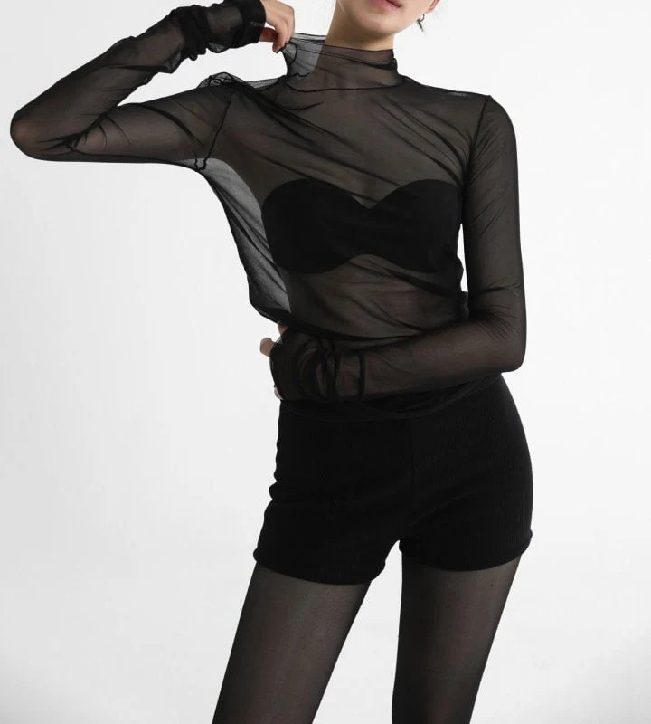 Paper Moon - Korean Women Fashion - #restrostyle - Mesh Sheer Turtleneck Long Sleeved Tee - 3