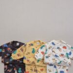 Fleece Dino Top Bottom Set