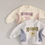 Michigan Colored Sweatshirts