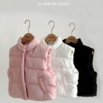 Winter Wellon Padded Vest