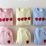 Strawberry Embroidery Top Bottom Set