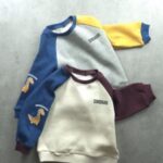 Dino Raglan Sweatshirts