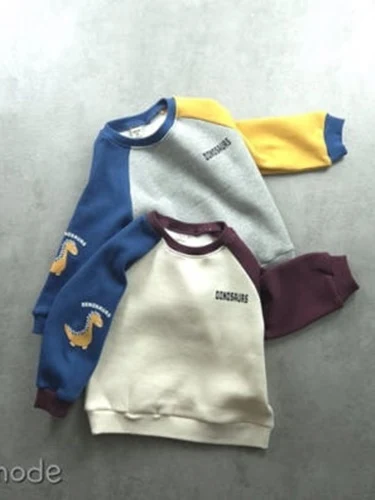 Dino Raglan Sweatshirts