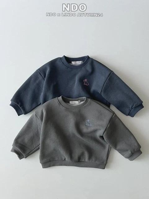 Rabbit Pigment Embroidered Sweatshirts