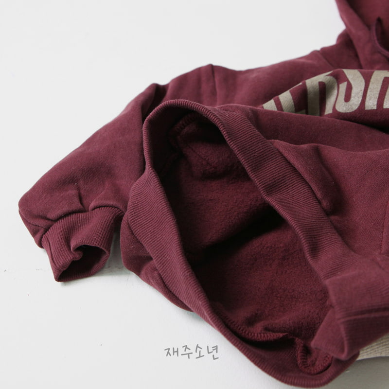 Witty Boy - Korean Children Fashion - #minifashionista - Hush Hoodie - 10