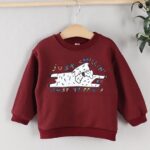 Schnauzer Sweatshirts