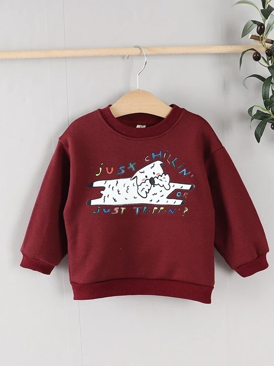 Schnauzer Sweatshirts