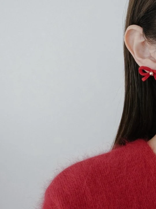 Krina Suede Ribbon Earrings