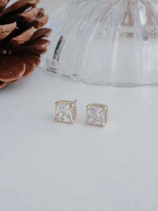 Rich Square Stone Cubic Earrings